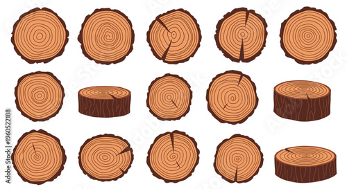 Detailed collection of circular wood slices and log sections showing natural tree rings and wood grain textures.