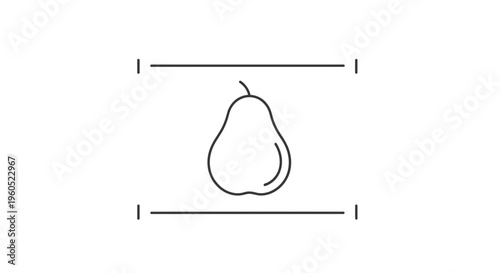Minimalist outline drawing of a fresh pear fruit icon with measurement lines on white background