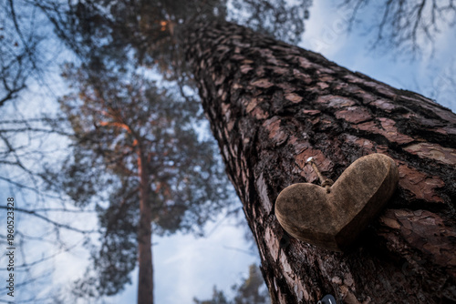 Herz im Friedwald