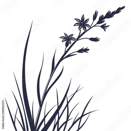  black stiff blue eyed grass