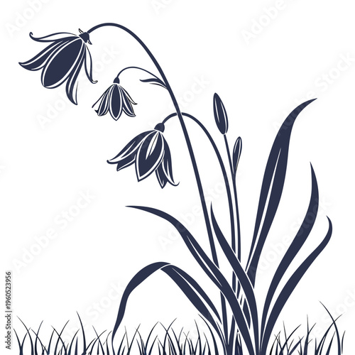 siberian squill, silhouette vector