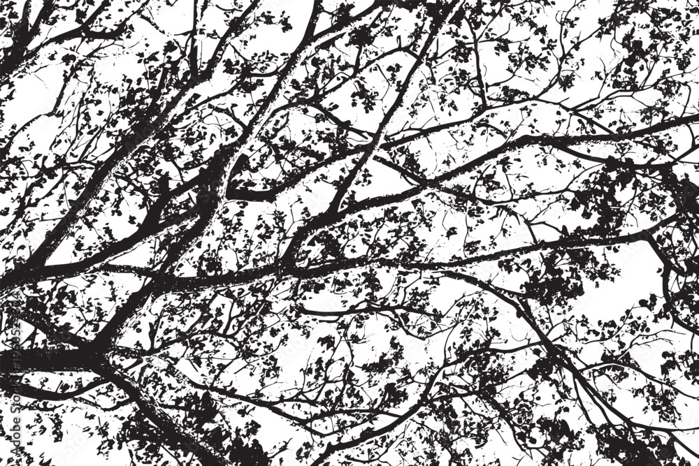 Obraz premium Leaf branches overlay texture abstract botanical pattern black and white background