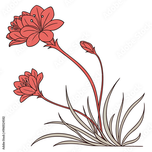 sea thrift red flower vector