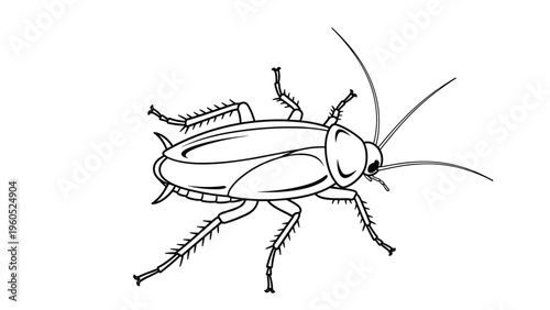 Detailed black and white line art illustration of a common cockroach showing its legs, antennae, and wing structure.