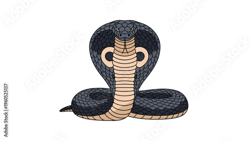 King cobra snake illustration in defensive pose with hood extended on a plain white background for wildlife and nature design.