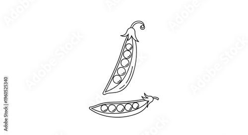 Simple black and white line art illustration of fresh green pea pods ideal for healthy culinary
