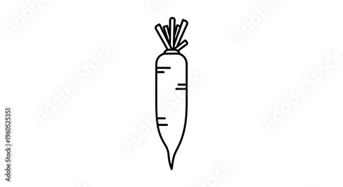 Minimalist black and white outline vector drawing of a healthy organic garden carrot with fresh