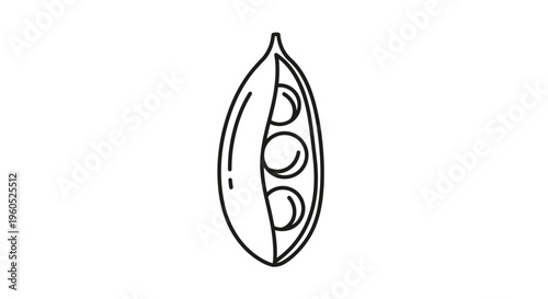 Minimalist line art illustration of a fresh pea pod with three peas inside, showcasing natural
