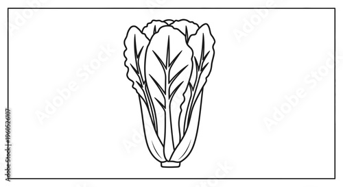 Detailed black outline illustration of a fresh, healthy leafy green vegetable plant, perfect for
