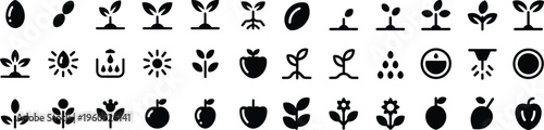 Plant Growth Cycle Flat Vector Icon Set. Seed Germination, Plant Development, Flowering, Harvest Line Icons.