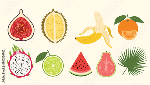 Collection of various fresh tropical fruits including fig durian banana and orange is shown in a colorful flat illustration style.