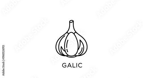 Minimalist Line Art Garlic Icon Illustration for Culinary and Health Concepts on a Clean White