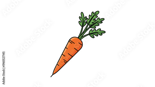Single fresh orange carrot vegetable with vibrant green leafy tops isolated on a clean white background design.