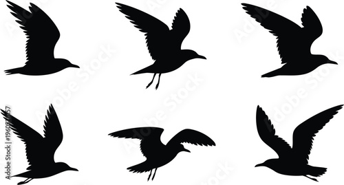 A collection of six flying seagull bird silhouettes captured in various dynamic flight positions