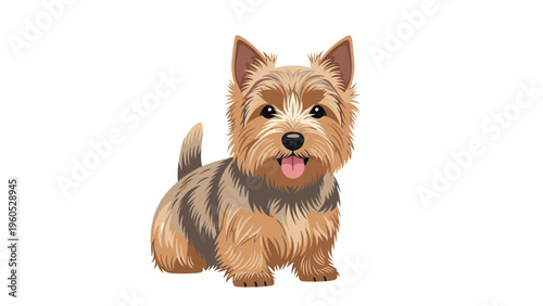 Cute and fluffy Yorkshire Terrier puppy sitting and looking at the camera with its pink tongue out in a friendly pose on a plain white background.