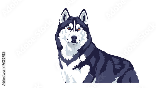 Majestic siberian husky dog portrait featuring its distinctive black and white fur pattern and alert ears looking directly forward in a calm pose.