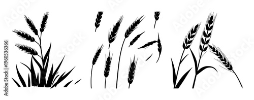 Wheat stalk silhouette set with stylized single-line hexagonal grain outline featuring agriculture, crop, field with natural and botanical