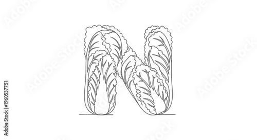 Abstract letter N formed by continuous line art of fresh chinese cabbages, healthy food concept