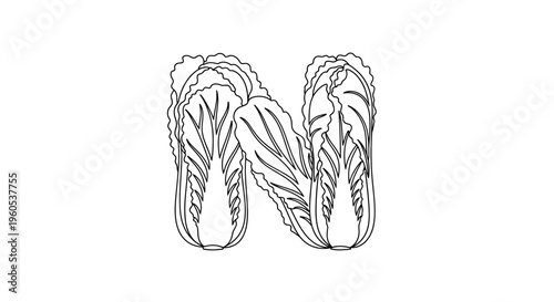 Stylized letter N vector outline featuring two detailed napa cabbage plants on a white background