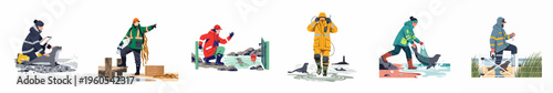 Illustrations of researchers and rescuers performing seal conservation, rescue, and monitoring tasks across various coastal settings.