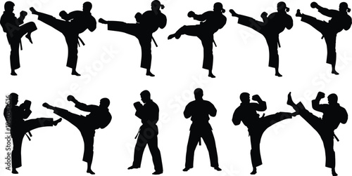 Martial arts silhouette illustrations of various kicking and stance poses