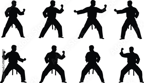 Martial arts silhouette postures
