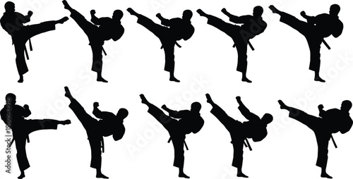 Martial arts silhouette postures