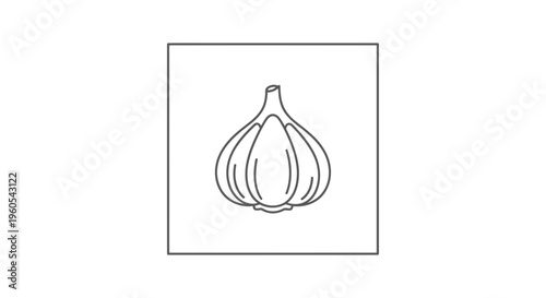 Minimalist outline drawing of a garlic bulb, essential for culinary flavor and healthy cooking