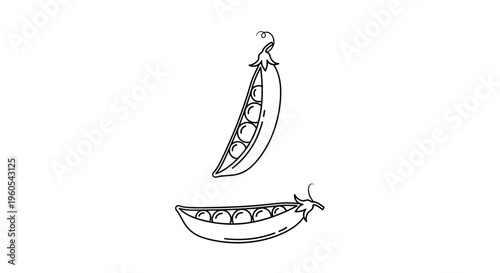 Minimalist line art illustration featuring two fresh pea pods, one open to reveal green