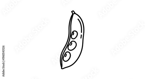 Elegant monochrome line illustration of a fresh pea pod showcasing three perfectly round peas inside