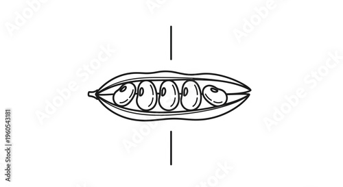 Clean black and white graphic depicting a garden fresh pea pod with multiple legumes