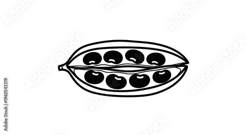 Stylized black and white illustration of an opened legume pod displaying its vibrant seeds within