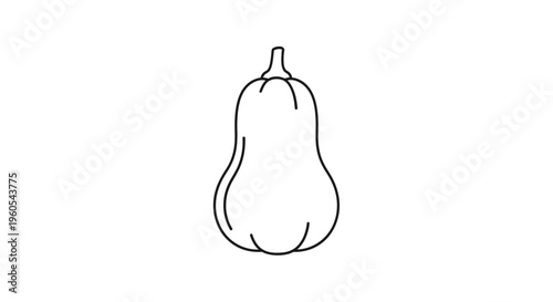 Minimalist outline drawing of a wholesome butternut squash, an autumn vegetable essential for
