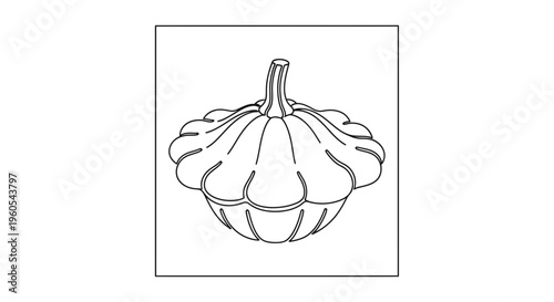 Minimalist black and white line art illustration of a decorative pattypan squash vegetable outline