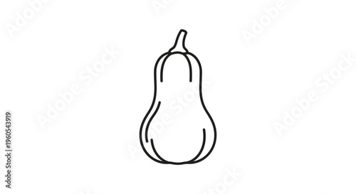 Clean minimalist vector outline of a delicious healthy butternut squash vegetable icon