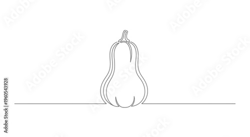 Elegant single continuous line drawing of a stylized butternut squash resting on a simple