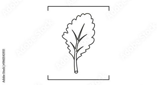 Simple monochrome outline of a healthy botanical garden leaf element for organic design