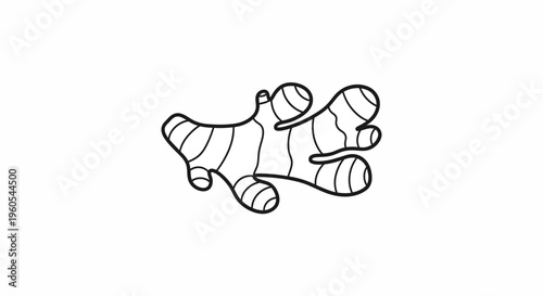 Stylized hand-drawn ginger root outline graphic isolated on a clean white background for culinary