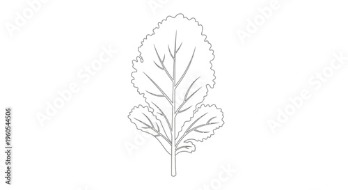 Stylized monochrome botanical illustration featuring a verdant leafy vegetable plant outline clean