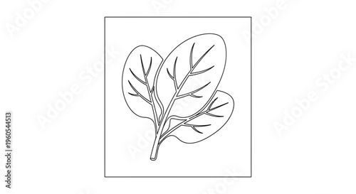 Minimalist line art illustration of fresh leafy green vegetables depicting healthy nutrition