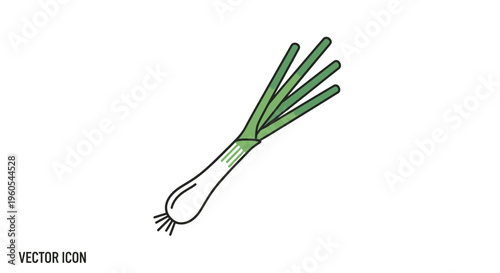 Fresh spring onion illustration for culinary design projects featuring a simple graphic style