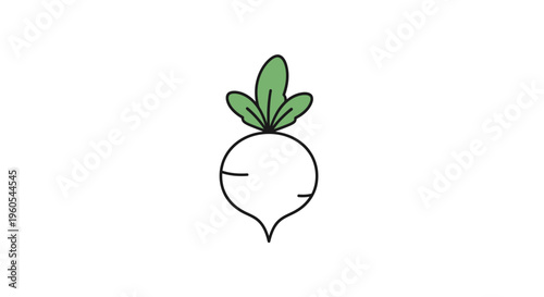 Clean minimalist illustration of a fresh garden root vegetable with vibrant green leaves on a