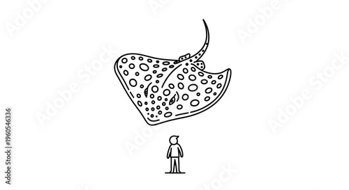 Outline illustration depicting the vast scale of a spotted stingray compared to a tiny human figure