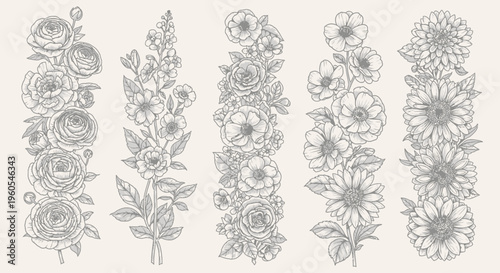 Delicate floral line art illustrations of blossoming flowers, vintage botanical drawings, and elegant decorative elements for design