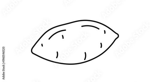 Minimalist outline drawing of a wholesome sweet potato, depicting a fresh garden vegetable for