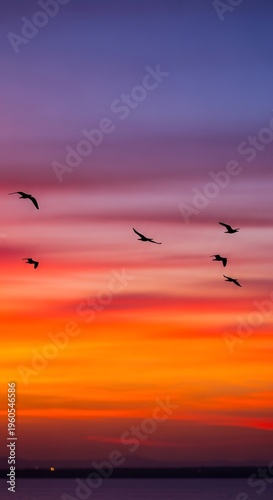 Birds flying over sunset ocean view.