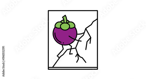 Cracked Glass Frame with Ripe Mangosteen Fruit Inside