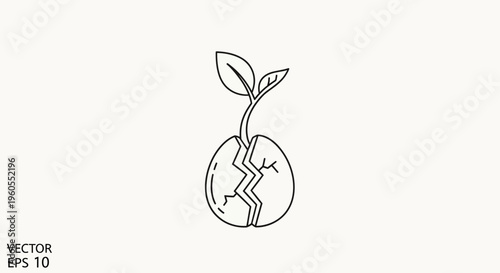 Cracked Seed Sprouting New Life with Leaves and Stem, Growth Concept