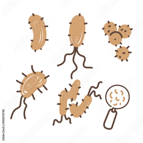 collection of hand drawn doodle style icons featuring various types of bacteria and viruses, a microscope, a magnifying glass, and a protective shield. Conceptual design of microorganisms, health, sci