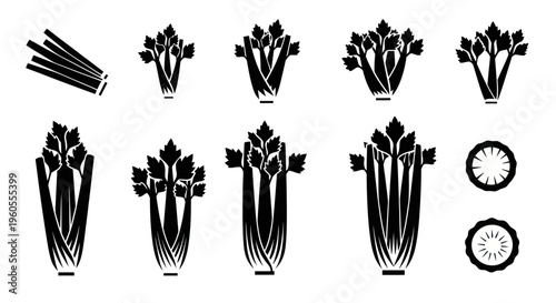 Celery Stalks and Slices Icon Set - Black and White Vector Illustrations